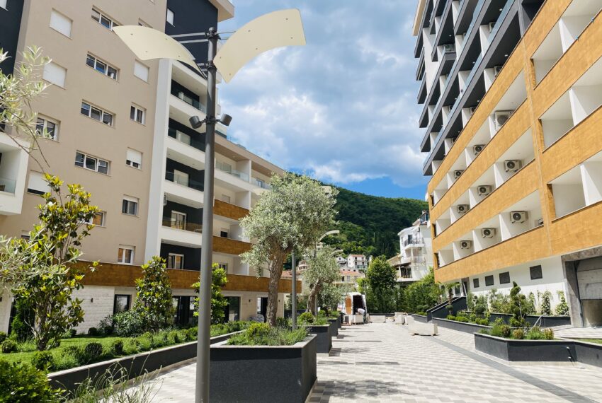 IMG-0349 (1)