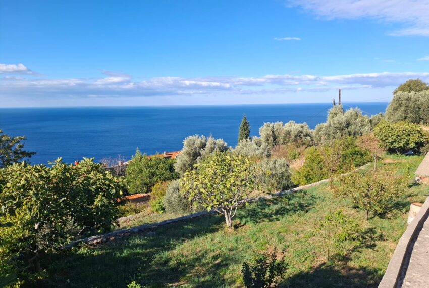 150848aa-3b5d-466b-a21d-2c841b39f93f