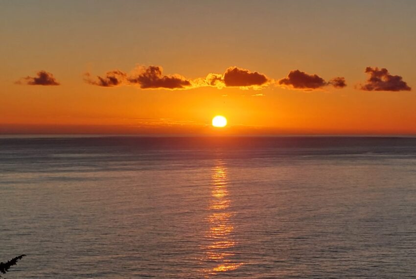 45421932-43b4-4e48-a7fd-53b61bee8517