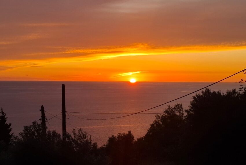 5e34d47a-e7c7-4181-9540-da1676068136