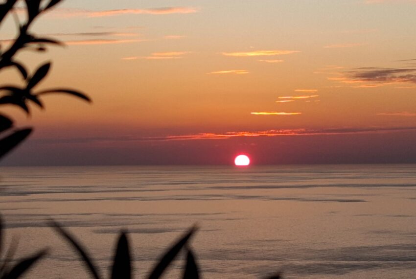 715c7909-dc61-4b67-b76c-83c1ecd27e86