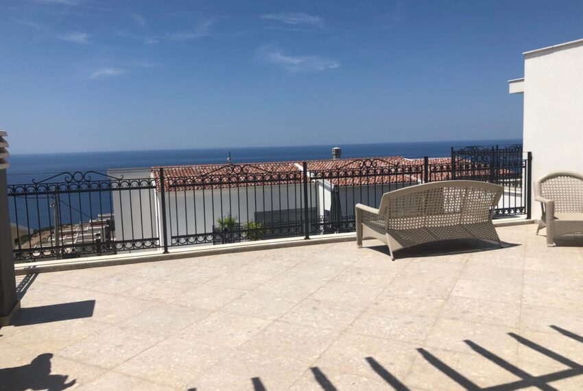 897249ad-cb53-4c40-9bbf-6478607d33d3 (1)