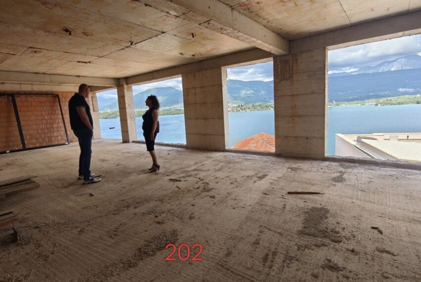 image6 (2)