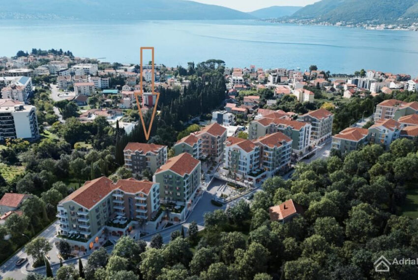 tivat 1